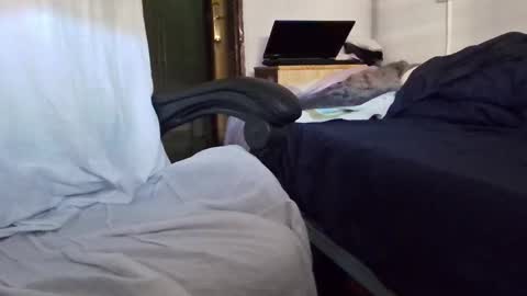 Snapshot of tolon408472 chatting on 11/04/25, 02:38 tolon408472 online show from 11/04/25, 02:38