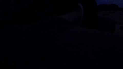 Snapshot of tolon408472 chatting on 01/17/26, 02:38 tolon408472 online show from 01/17/26, 02:38