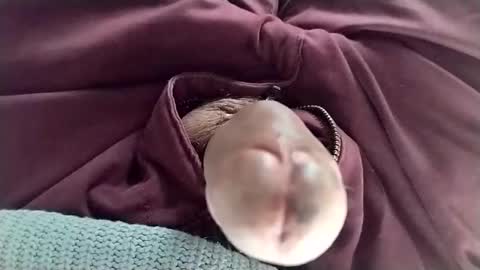 Tomas online show from 01/11/25, 08:32