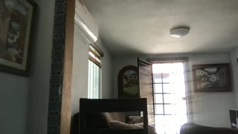 Hola online show from 01/24/25, 08:32