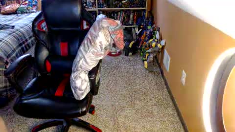TomBomb13 online show from 07/30/26, 05:56