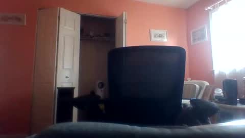 tomcat4848 online show from 04/22/26, 07:48