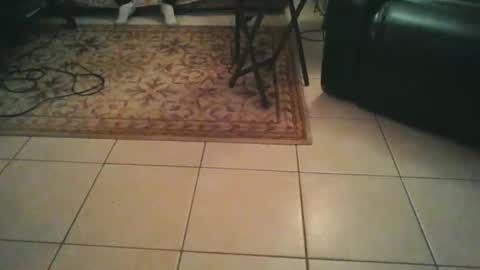 sirmuggsalot online show from 03/20/26, 07:02