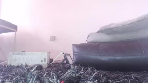   Thomas    online show from 02/26/26, 06:07