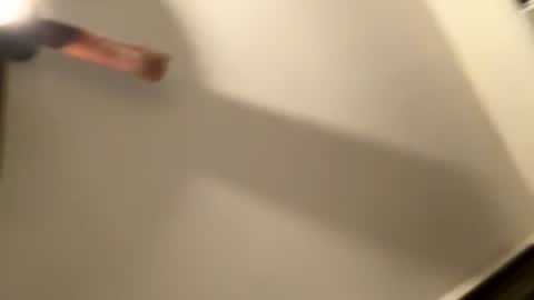 tommygunz62 online show from 02/04/26, 02:28