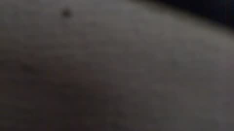 tony2700targa online show from 01/13/25, 03:47