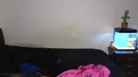 Sophia  Tony online show from 07/07/26, 12:02