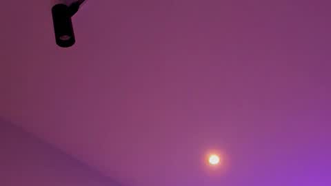 tony_petrov online show from 01/08/26, 03:20