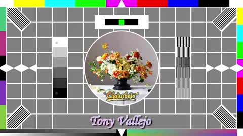 Tony V online show from 10/14/25, 09:54