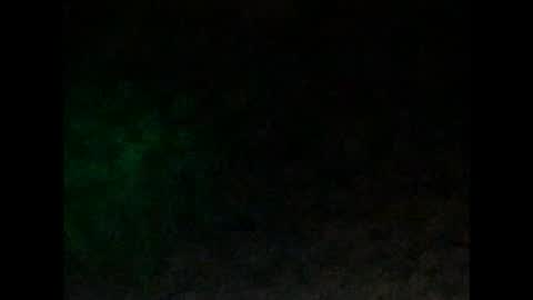 Snapshot of tonydigitt chatting on 01/04/25, 10:05 tonyd online show from 01/04/25, 10:05