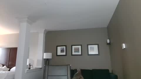 toomuchsmoke online show from 02/06/25, 12:22