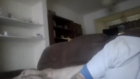 topfoxs30 online show from 02/25/25, 04:42