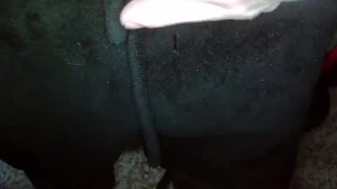 Topg84 online show from 12/15/24, 02:59