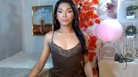 toptrans venice online show from 04/14/26, 12:16