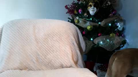 Enzo Moretti online show from 11/28/25, 01:52