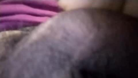 torresabel762 online show from 04/08/26, 03:56