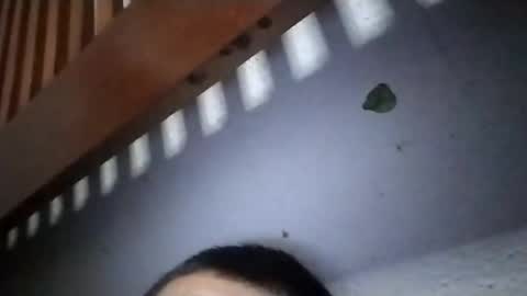 torresabel762 online show from 04/19/26, 10:14