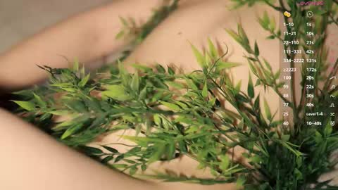 Toshi online show from 03/12/26, 01:06