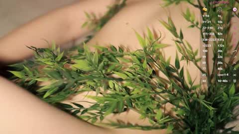 Toshi online show from 03/30/26, 01:01