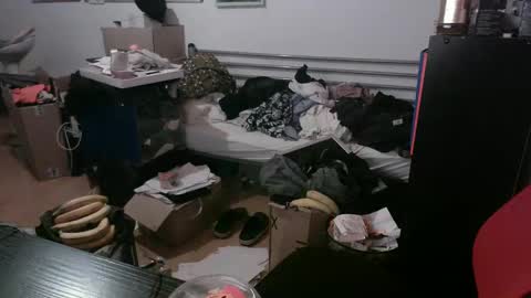 Totox online show from 12/29/24, 07:43