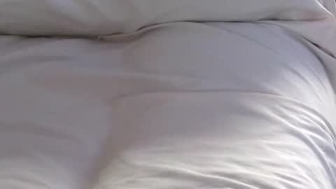 Jim online show from 01/31/25, 05:21