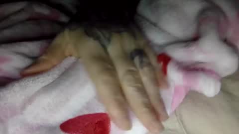 toxicanikki online show from 01/08/26, 08:05