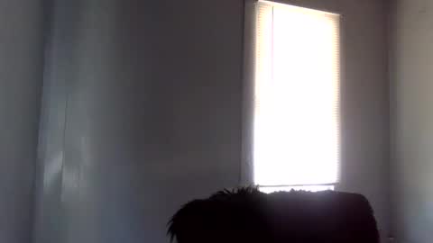 toxicanikki online show from 02/04/26, 08:36