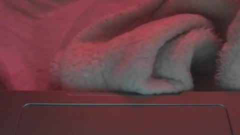 toxicanikki online show from 02/23/26, 08:17