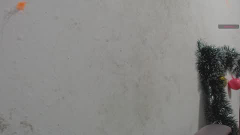 toxca69 online show from 01/07/26, 04:59