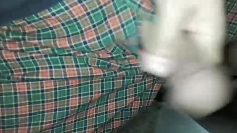 Daddy Edgalot online show from 01/14/25, 07:06