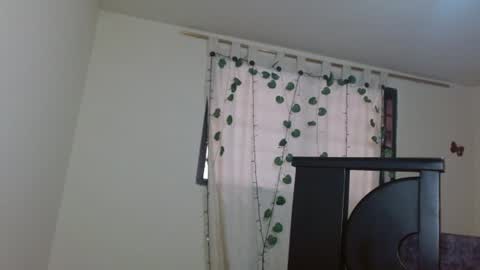 Snapshot of trebol_4 chatting on 07/11/26, 06:54 trebol_4 online show from 07/11/26, 06:54