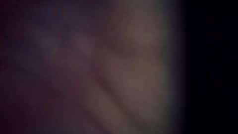 trex23rd online show from 03/06/26, 11:39