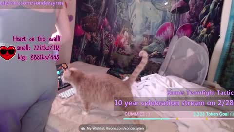 Cassie online show from 02/26/26, 07:46