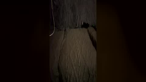 trickydick6 online show from 07/06/26, 06:43