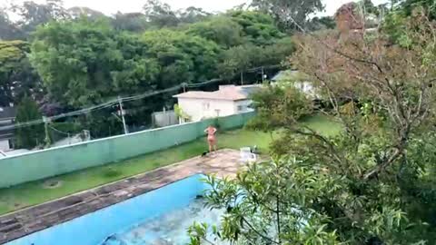 trigood online show from 11/28/25, 09:17