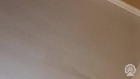 Snapshot of trinislim1868 chatting on 11/13/25, 12:09 Antique-Shirt2516 online show from 11/13/25, 12:09