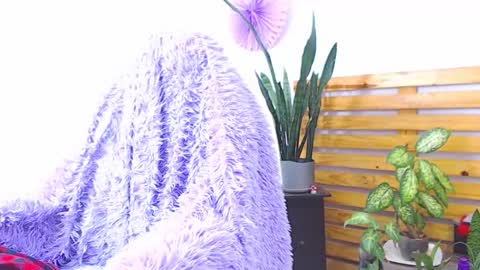 Trix online show from 02/01/26, 06:34