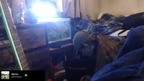 trooper0690 online show from 02/12/26, 06:14