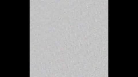 Snapshot of tropicalmadness chatting on 02/19/25, 05:49 Archie Torres online show from 02/19/25, 05:49