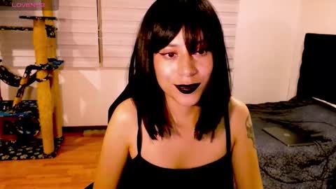 Cait online show from 11/29/25, 07:22