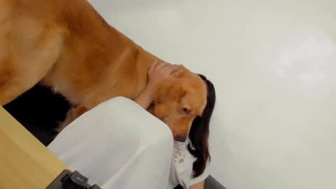 Snapshot of ts_danielahugecock_xxx chatting on 12/31/24, 12:43 ts_danielahugecock_xxx online show from 12/31/24, 12:43