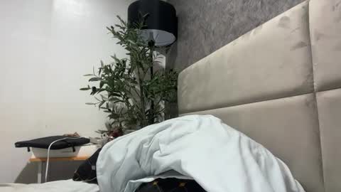 ts_danielahugecock_xxx online show from 02/02/26, 05:17