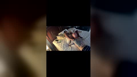 tslizzy0084 online show from 03/29/26, 05:18