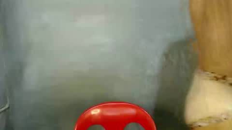 Snapshot of tspaulyn chatting on 01/07/26, 05:54 Paulyn online show from 01/07/26, 05:54