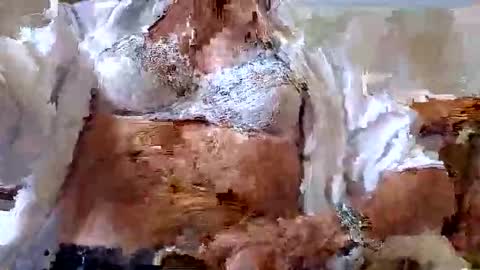 FINN but call me NANNA online show from 09/09/25, 12:59