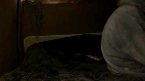 Snapshot of tuhands chatting on 02/06/25, 06:02 Tuhands online show from 02/06/25, 06:02