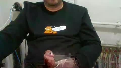 turkishdaddy34 online show from 02/12/25, 05:37