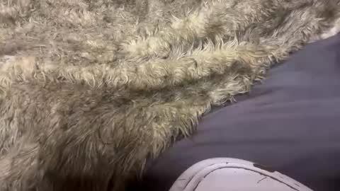 turntpixie online show from 03/07/26, 04:31