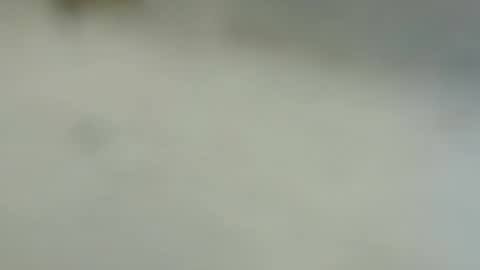 tutu1723153673 online show from 01/06/25, 06:10