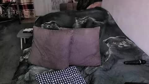 Lana online show from 03/16/26, 06:45